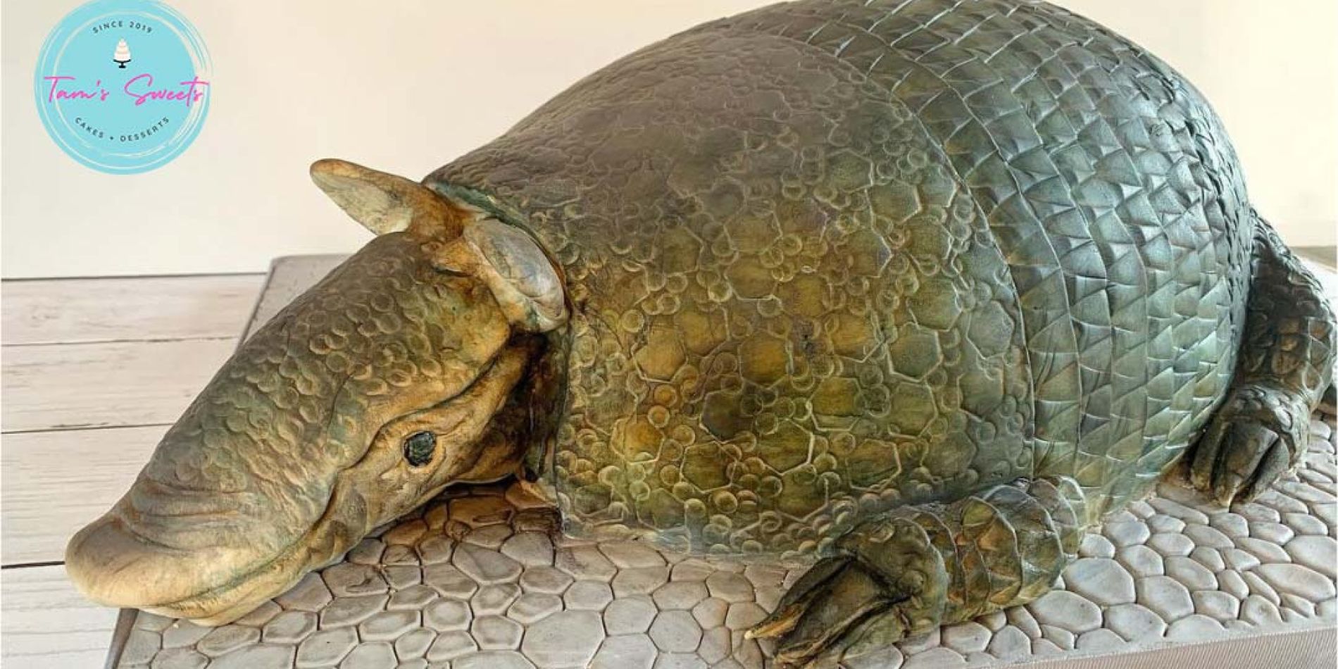 custom cake appears as lifelike armadillo