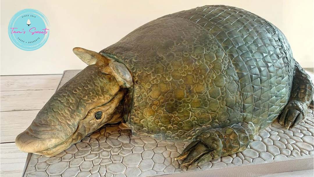 custom cake appears as lifelike armadillo