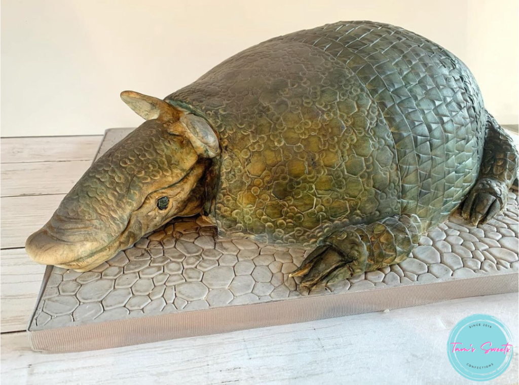 armadillo custom cake